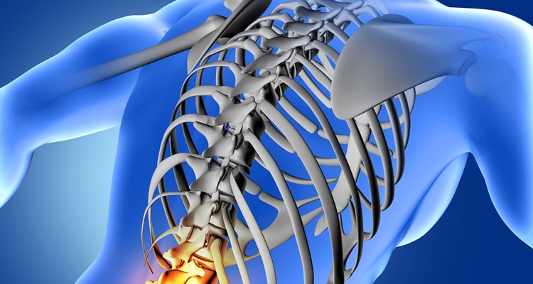 3D render of a blue medical image of male figure with lower spine highlighted