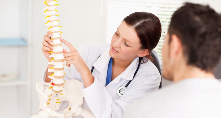 A female doctor is pointing on a bone in the spine