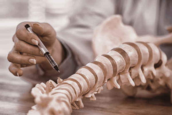 Doctor shows a patient a model of a spine, pointing at the vertebrae